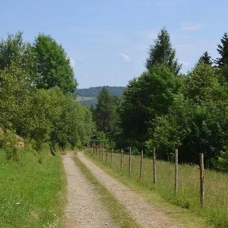 Domek Zacisze Gor Slonnych Tyrawa Woloska Exterior photo